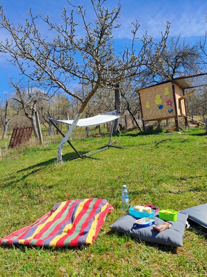 Hotel Viata La Tara Cerna Cerna  Esterno foto